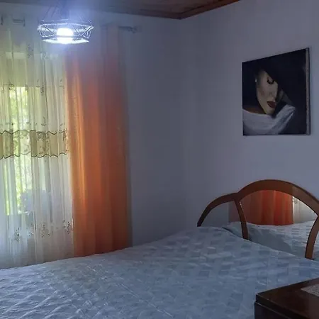 Niku Homestay 베라트