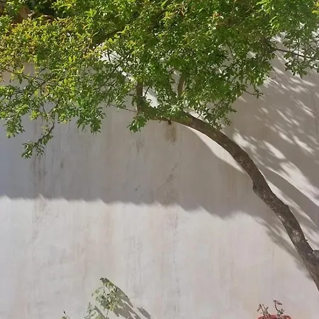 Niku Homestay منزل للإقامة بيرات